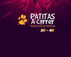 Patitas a correr - Maraton de perros 2k-4k