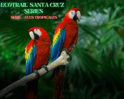 Ecotrail Santa Cruz Series - Serie Aves Tropicales