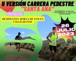 Carrera Pedestre Santa Ana