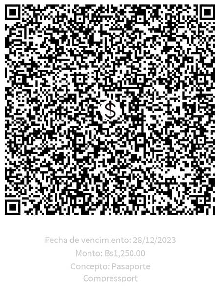 QR Passport Compressport